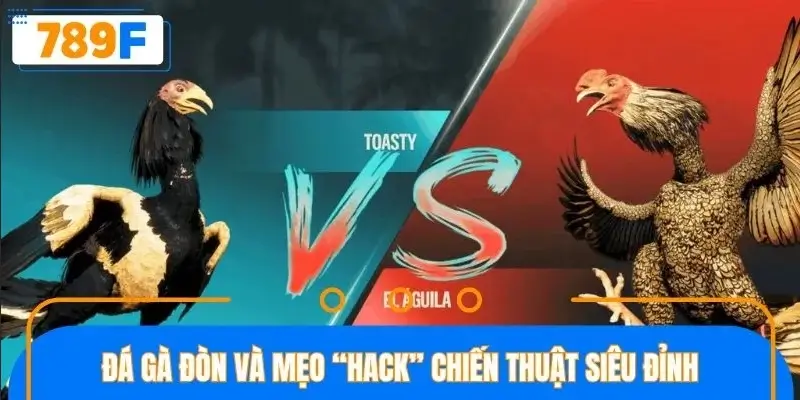 Cẩm nang chơi đá gà đòn bất bại Cẩm nang chơi đá gà đòn bất bại