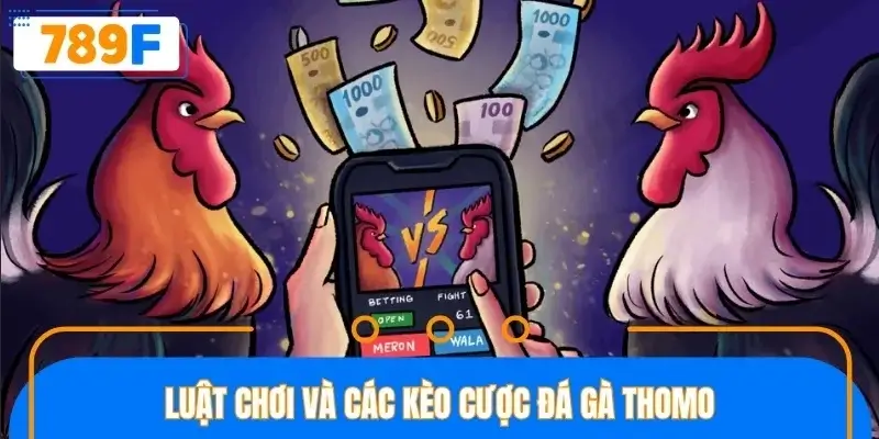 Chi tiết luật chơi cần nắm rõ trước khi đặt kèo Chi tiết luật chơi cần nắm rõ trước khi đặt kèo
