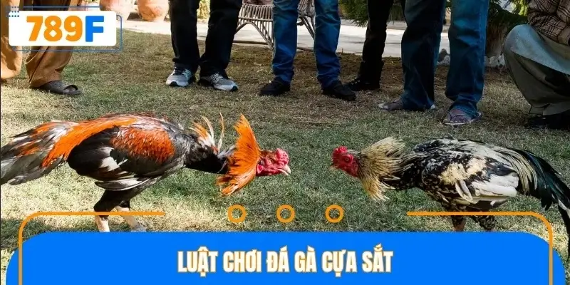 Chi tiết luật chơi tạo nên điểm khác biệt so với hình thức khác Chi tiết luật chơi tạo nên điểm khác biệt so với hình thức khác