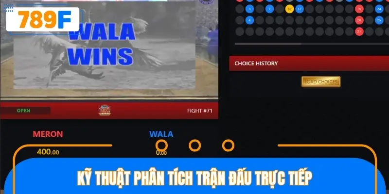 Mẹo đặt cược đá gà sử dụng kỹ thuật phân tích trận đấu Mẹo đặt cược đá gà sử dụng kỹ thuật phân tích trận đấu