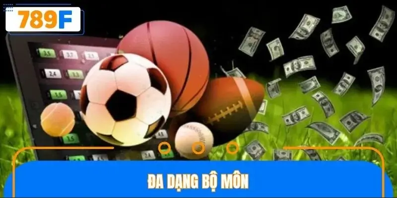 Sân chơi tích hợp hàng loạt bộ môn hấp dẫn Sân chơi tích hợp hàng loạt bộ môn hấp dẫn