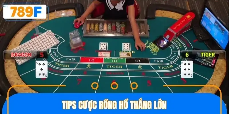 Tips cược Rồng Hổ thắng lớn Tips cược Rồng Hổ thắng lớn
